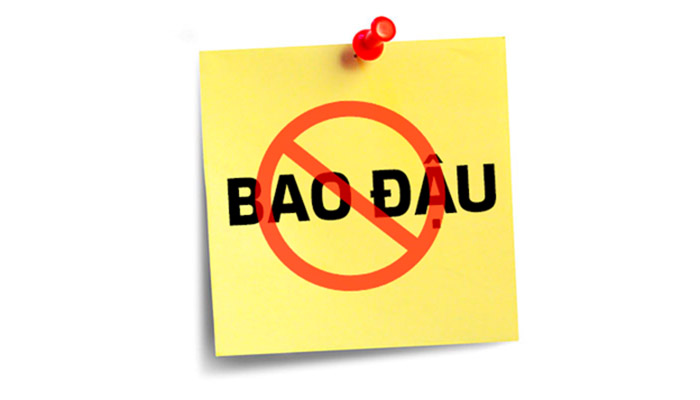 Bao đậu