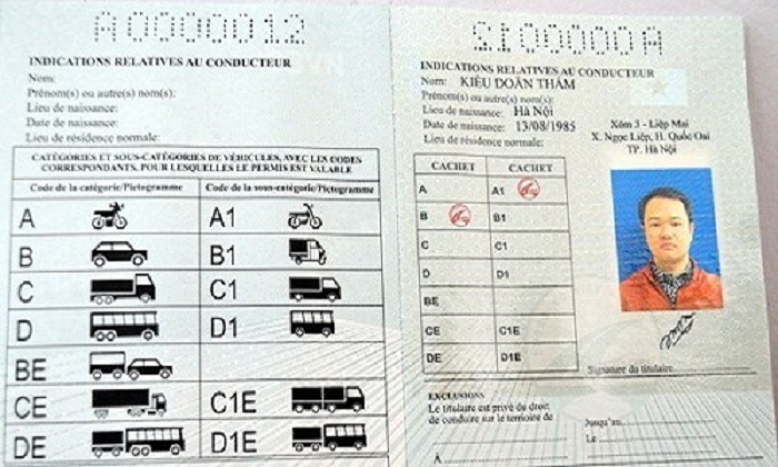 Đào tạo giấy phép lái xe chuyên nghiệp